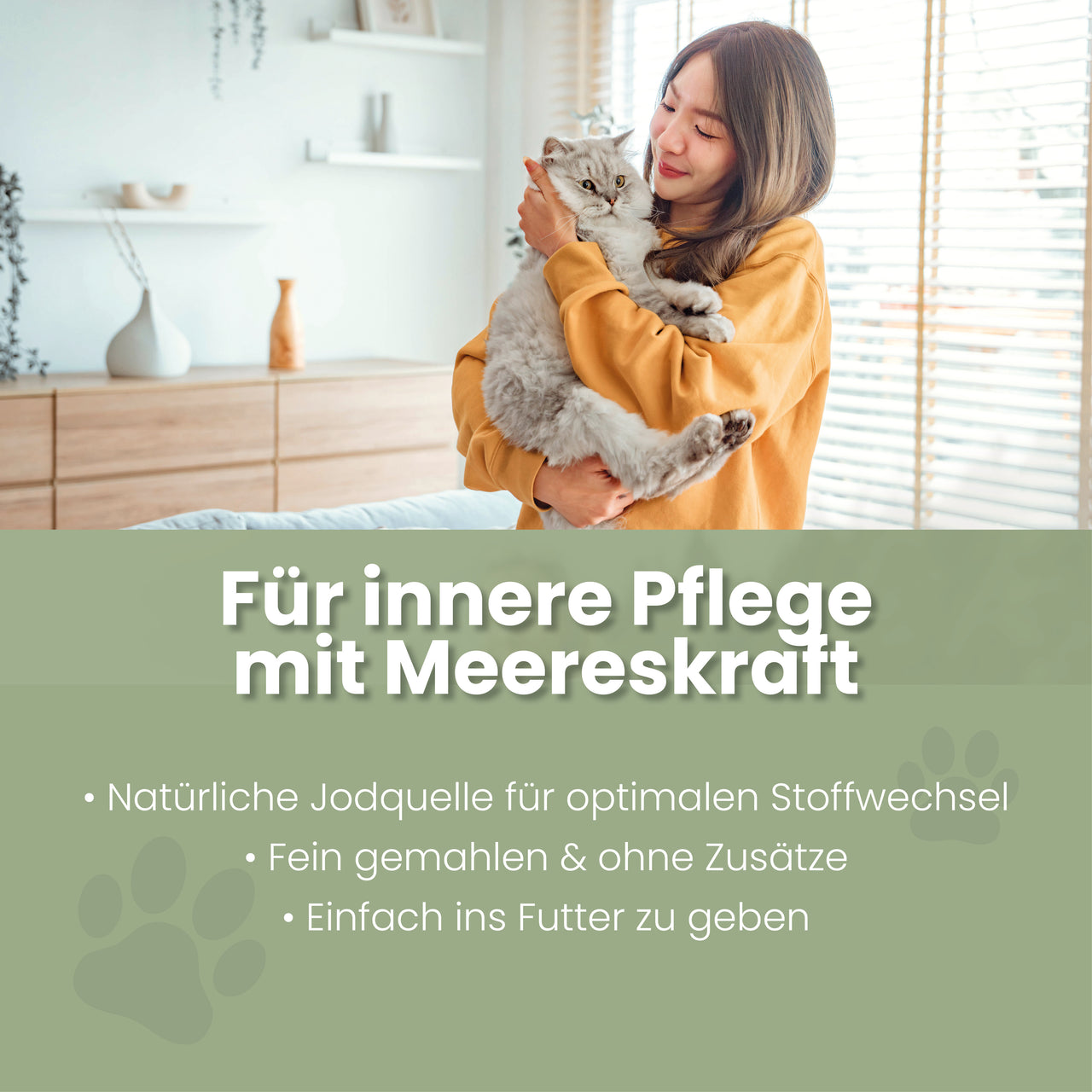 
                      Seealgenmehl für Katzen Seealgenmehl Katzen – Jod & Fellwechsel
                      