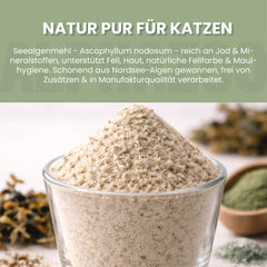Seealgenmehl für Katzen