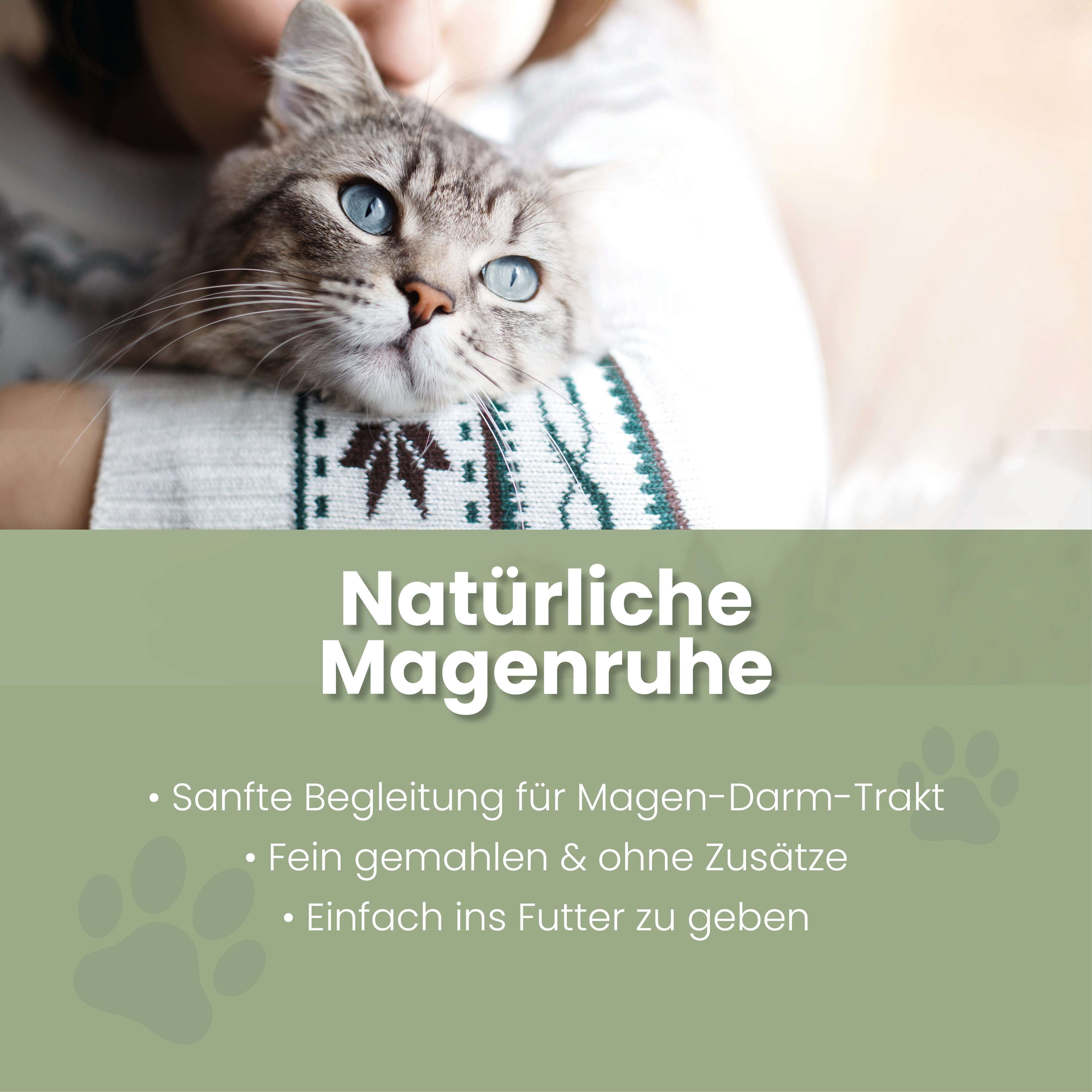 Ulmenrinde Pulver für Katzen Ulmenrinde Pulver Katzen – Haarballen & Fellwechsel