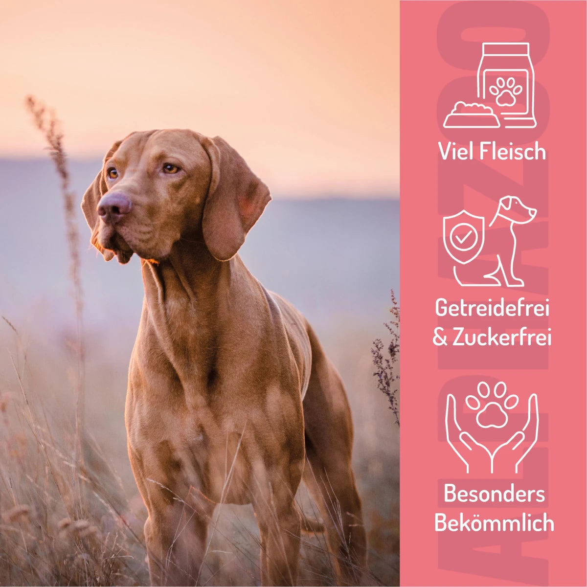 
                      Kleines Rinderz-Vous Kleines Rinderz-vous – Hundesnack mit 90 % Rind, Himbeere & Spinat.
                      