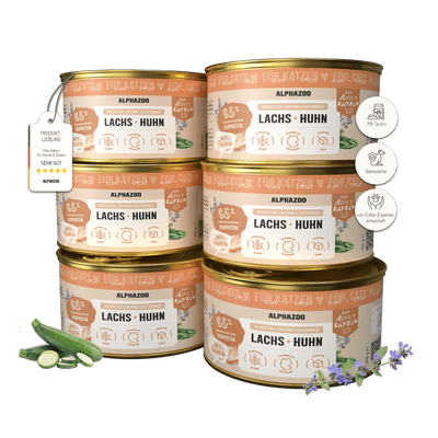 Salmon + Chicken Wet Food for Cats