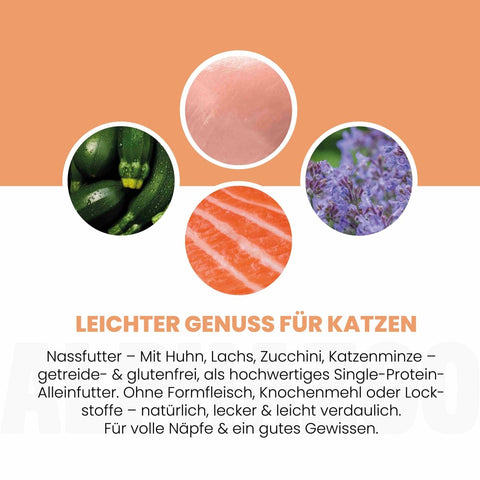 Lachs + Huhn Nassfutter für Katze alphazoo Nassfutter Lachs + Huhn - Duoprotein für Katzen
