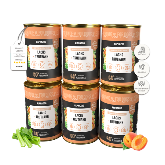 Lachs + Truthahn Nassfutter für Adult Hunde