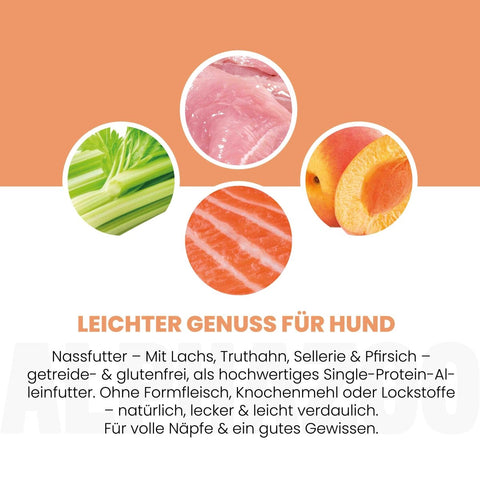 Lachs + Truthahn Nassfutter für Adult Hunde alphazoo Nassfutter Lachs + Truthahn - Hundefutter ohne Getreide