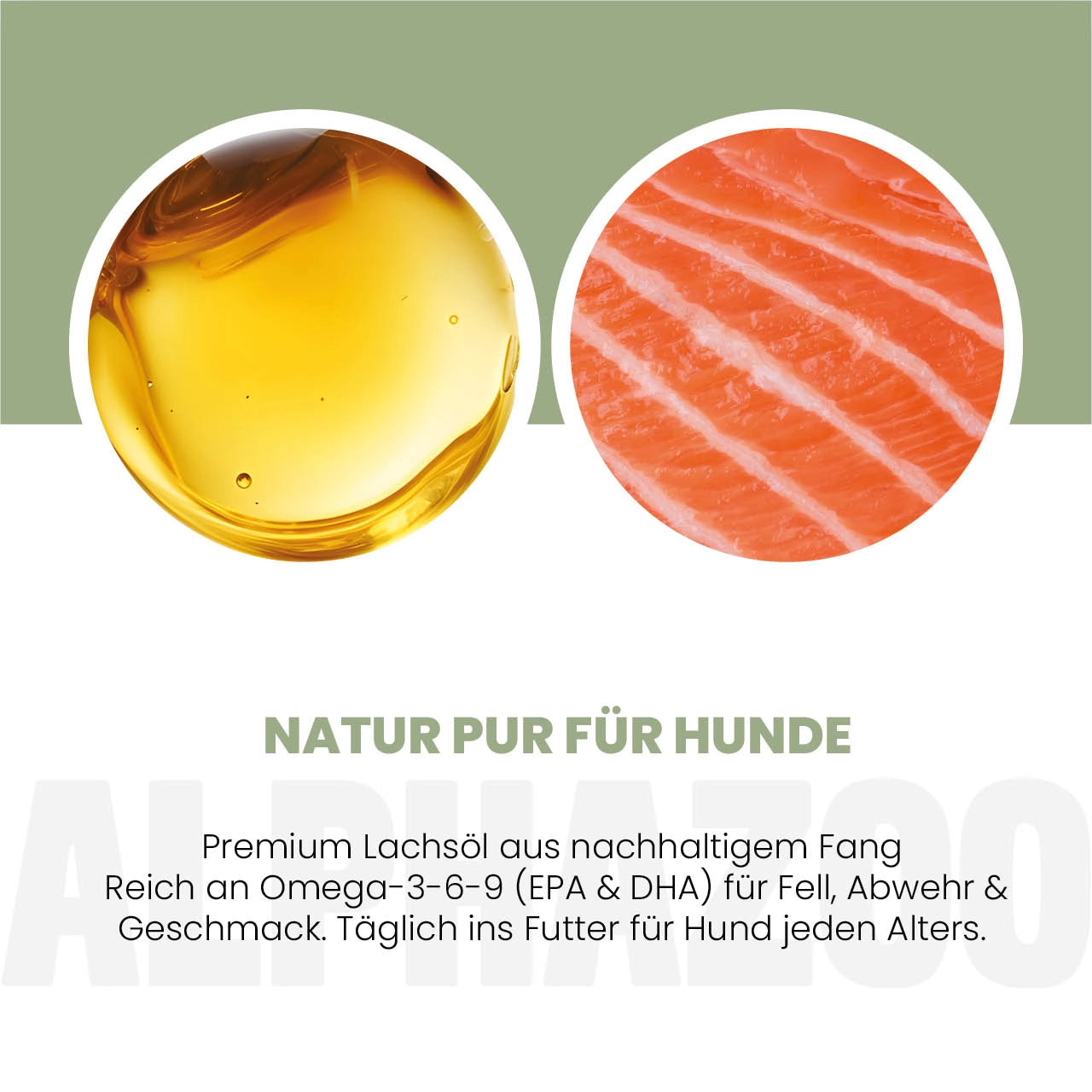 Lachsöl für Hunde Lachsöl für Hunde – Omega-3 Ergänzungsöl für gesunde Haut & glänzendes Fell