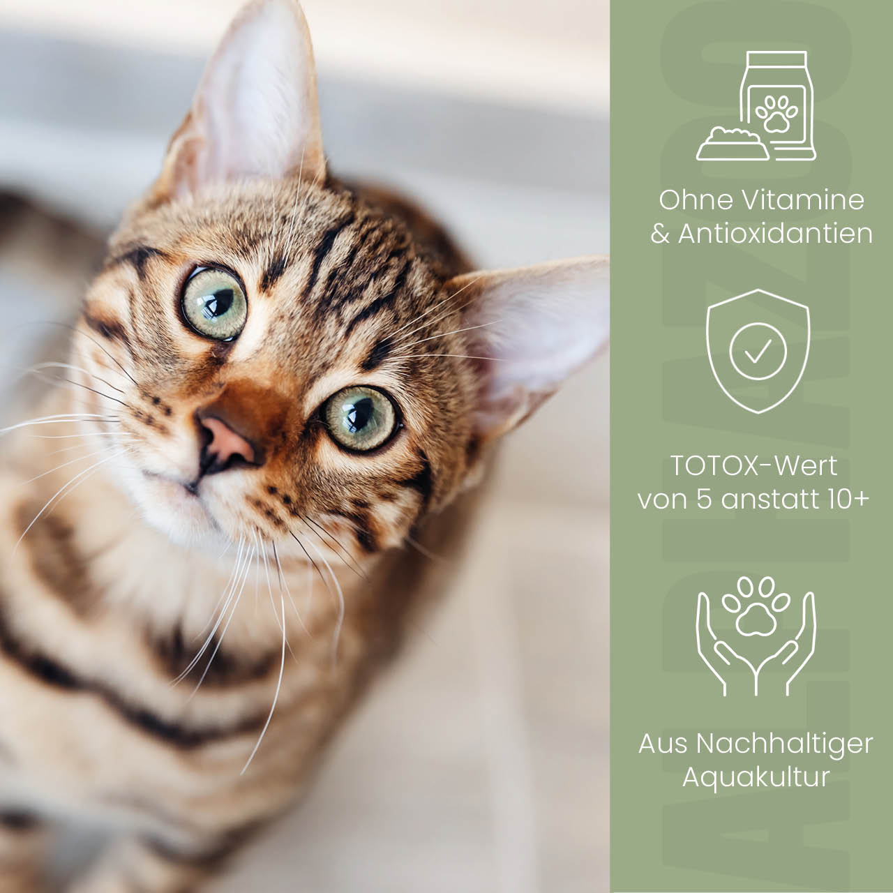 Lachsöl für Katzen Lachsöl für Katzen – Hochwertige Futterergänzung für Haut, Fell & Immunsystem – reich an Omega-3, -6 & -9 Fettsäuren.