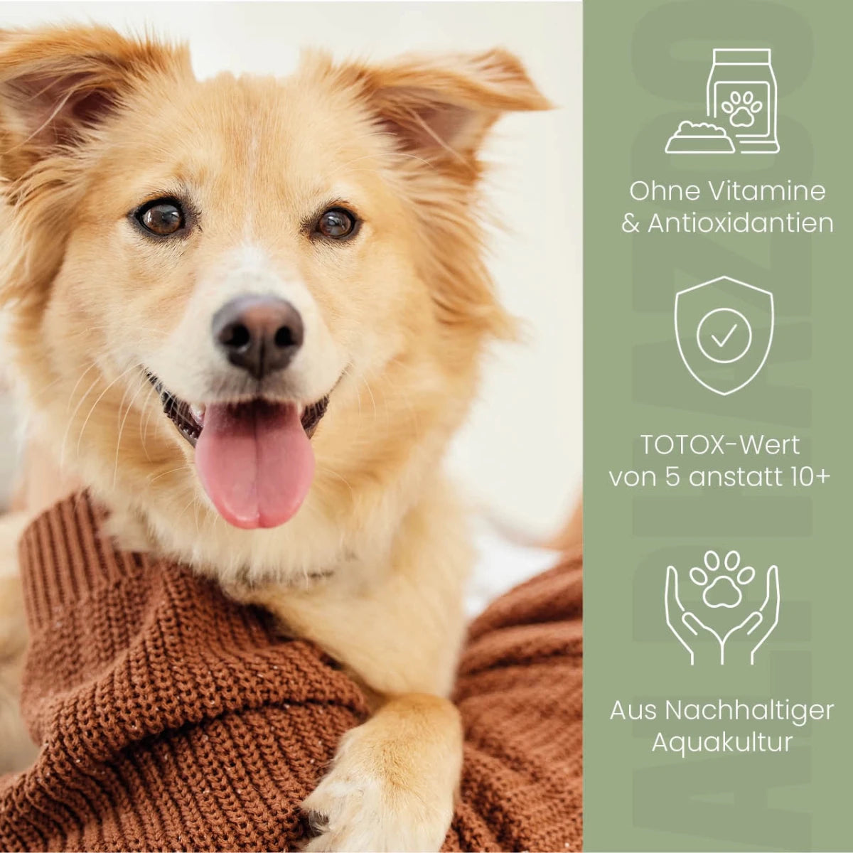 
                      Lachsöl für Hunde Lachsöl für Hunde – Omega-3 Ergänzungsöl für gesunde Haut & glänzendes Fell
                      