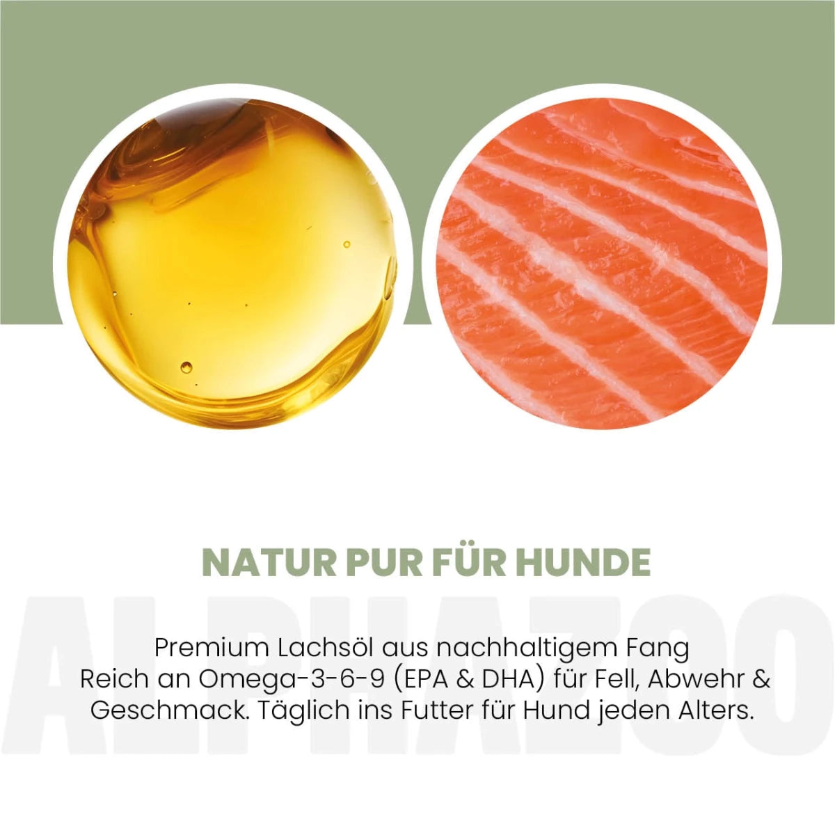 Lachsöl für Hunde Lachsöl für Hunde – Omega-3 Ergänzungsöl für gesunde Haut & glänzendes Fell