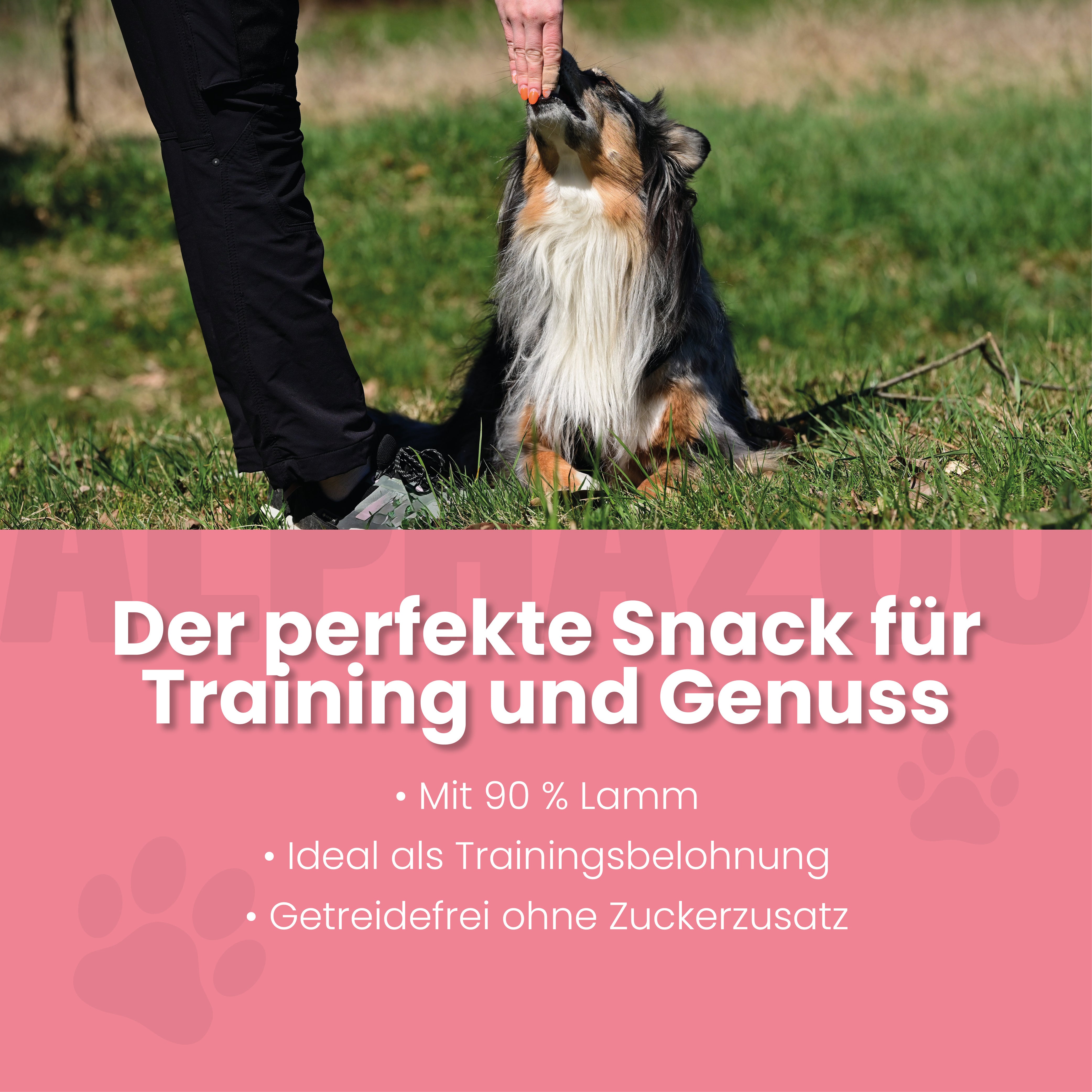 Lamm-Barda Tanzen LAMMBARDA TANZEN – Trainingssnack mit 90 % Lamm