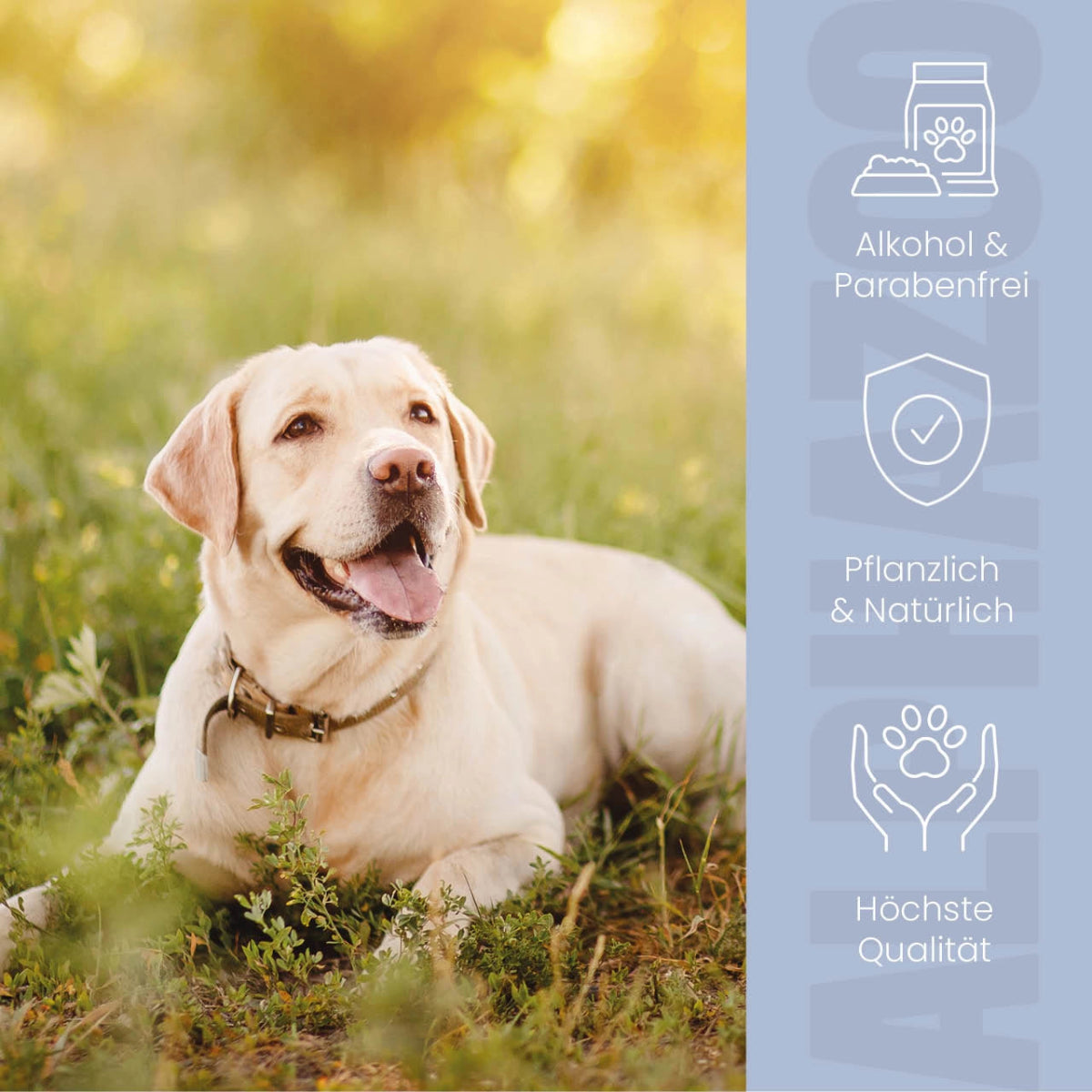 
                      Lauscher-Auf ear cleaner for dogs Lauscher-Auf ear cleaner for dogs – gentle, alcohol-free care with chamomile
                      