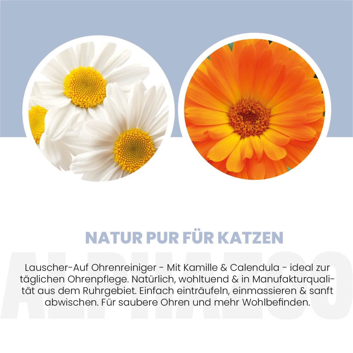 Lauscher-Auf Ohrenreiniger für Katzen Lauscher Auf Ohrenreiniger für Katzen – sanfte Pflege & Reinigung mit Kamille & Calendula. 