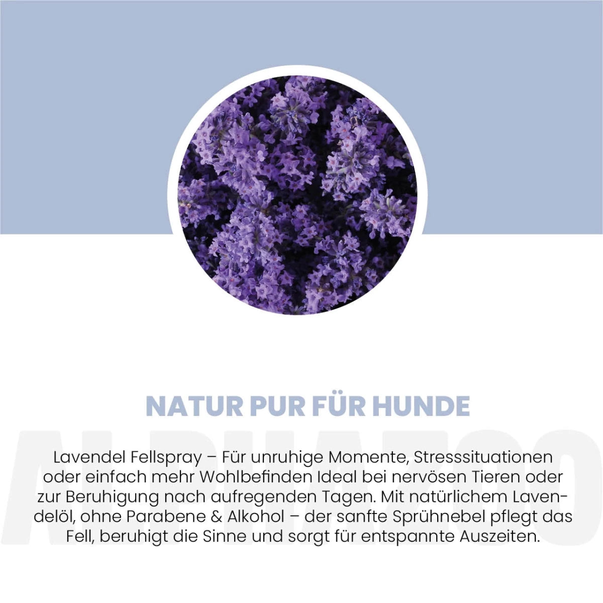 
                      Lavellness Fellspray für Hunde Lavellness Fellspray für Hunde mit Lavendel & Sheabutter - Pflegt Fell & Haut
                      