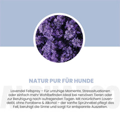 Lavellness Fellspray für Hunde