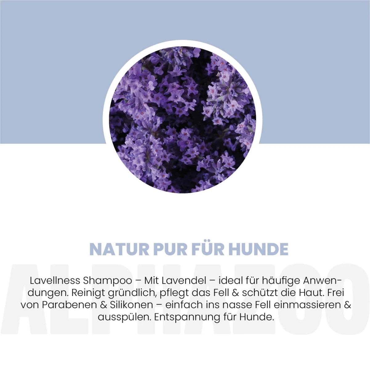 
                      Lavellness Shampoo for Dogs 250 ml Lavellness Shampoo for dogs – gentle care with lavender & coconut
                      