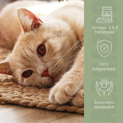 Leinöl für Katzen
