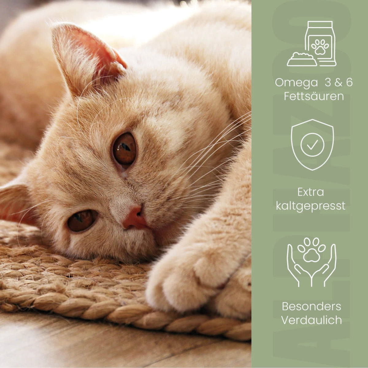 Linseed oil for cats
