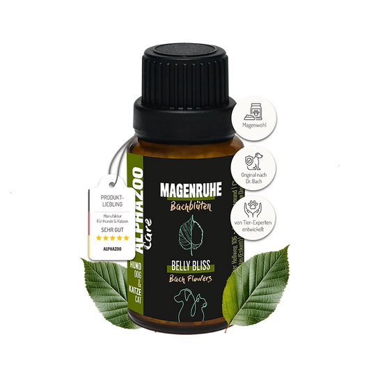 Magenruhe Bachblüten