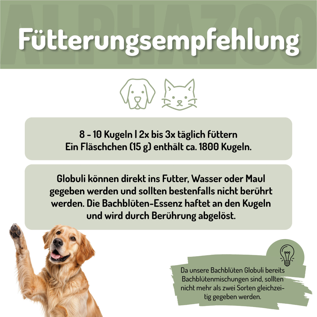 Magenruhe Bachblüten 15 g - ALPHAZOO