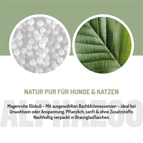 Magenruhe Bachblüten 15 g