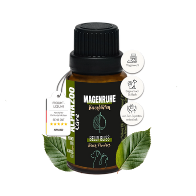 Magenruhe Bachblüten 15 g