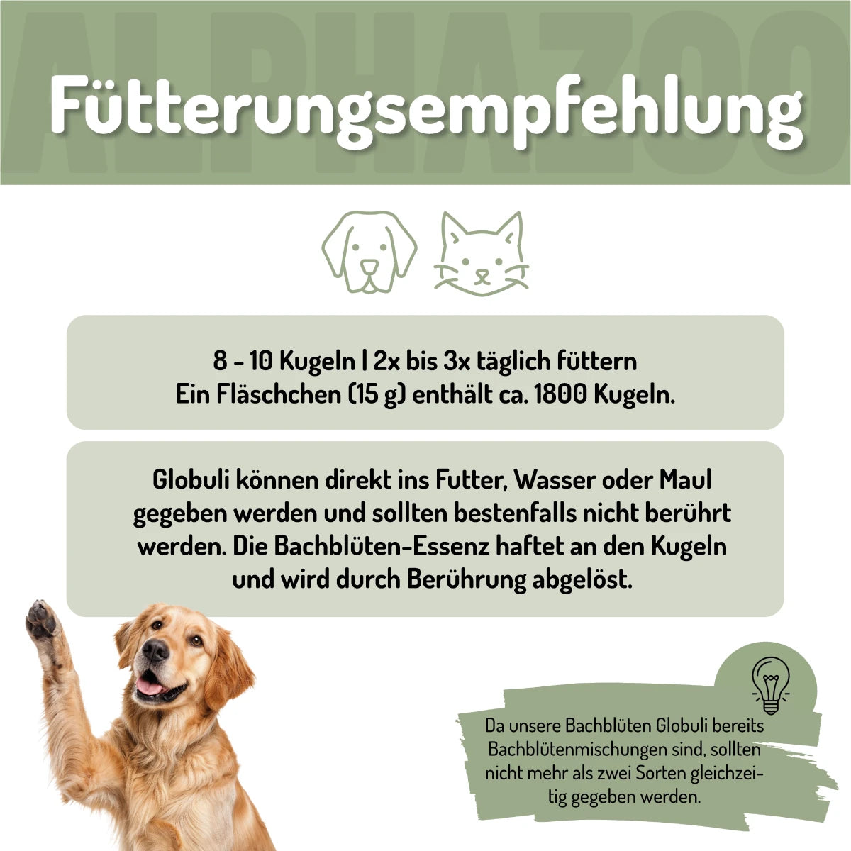 Magenruhe Bachblüten Magenruhe Bachblüten – sanfte Unterstützung für Magen & Balance