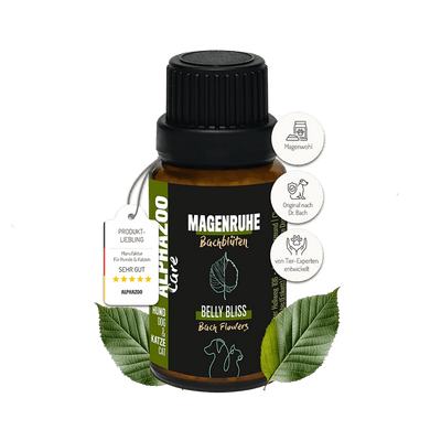 Stomach Rest Bach Flowers 15g for Dogs & Cats I Gastrointestinal Globules