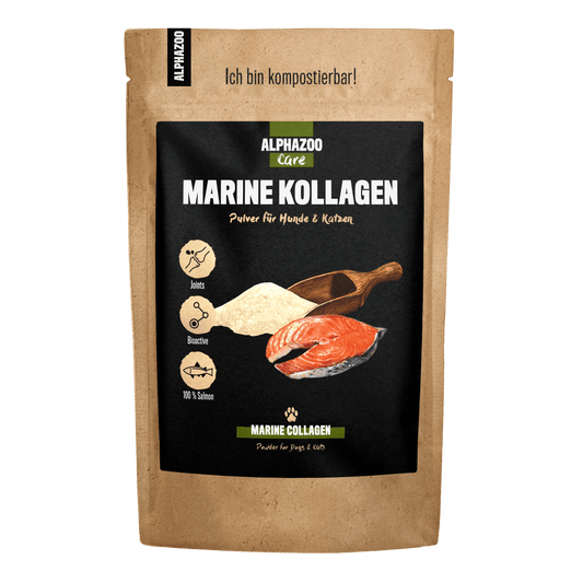 Marine collagen powder for dogs & cats I Fish collagen hydrolyzate