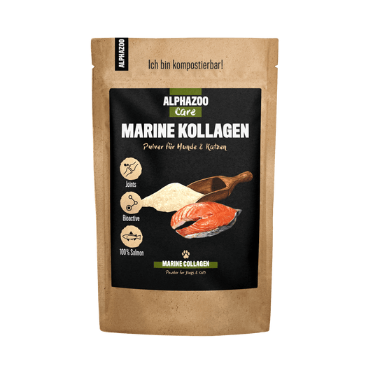 Marine collagen powder for dogs & cats I Fish collagen hydrolyzate
