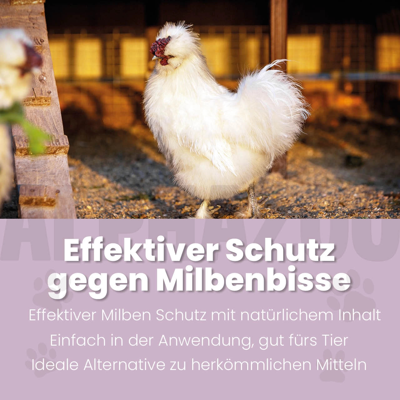 
                      MilbHunter Milbenspray für Hühner MilbHunter Milbenspray für Hühner - wirksamer Schutz gegen Milben
                      
