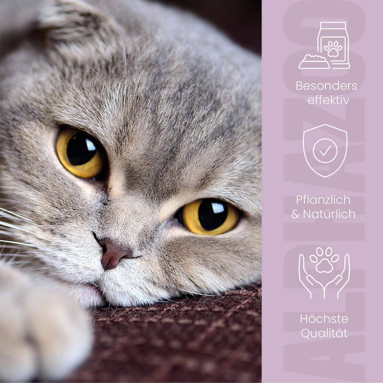 MilbHunter Spot-On für Katzen Milbhunter Spot-On mit Eukalyptusöl & Geraniol für Katze – wirksamer Schutz gegen Milbenbefall