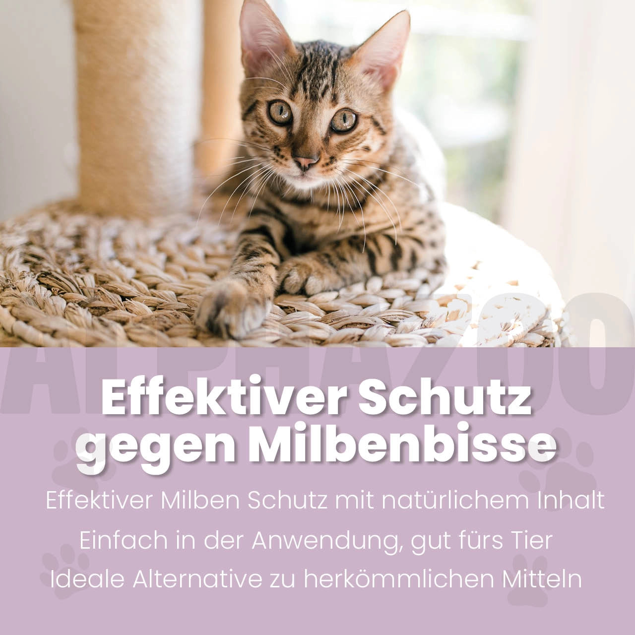 MilbHunter Spot-On für Katzen Milbhunter Spot-On mit Eukalyptusöl & Geraniol für Katze – wirksamer Schutz gegen Milbenbefall
