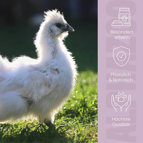 MilbHunter mite spray for chickens 250 ml MilbHunter mite spray for chickens - effective protection against mites