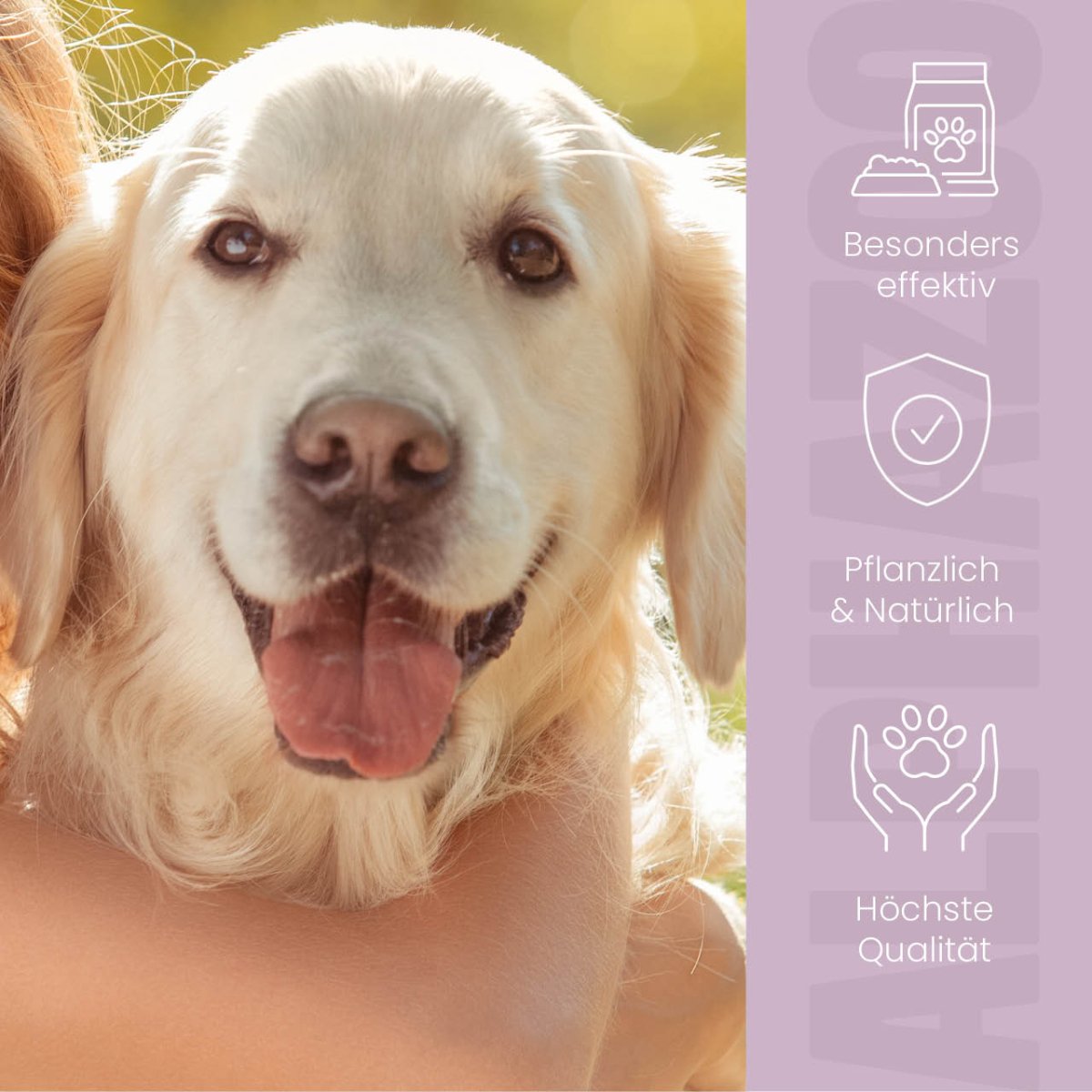 
                      MilbHunter mite spray for dogs I strong anti-mite agent MilbHunter mite spray for dogs with lemon eucalyptus & geraniol – effective protection against mites
                      