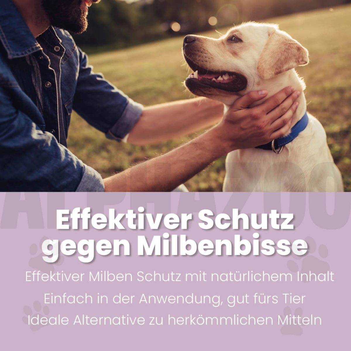 MilbHunter Spot-On für Hunde 100 ml Milbhunter Spot-On mit Eukalyptusöl, Nelkenöl & Geraniol für Hunde – gezielter Schutz gegen Milbenbefall