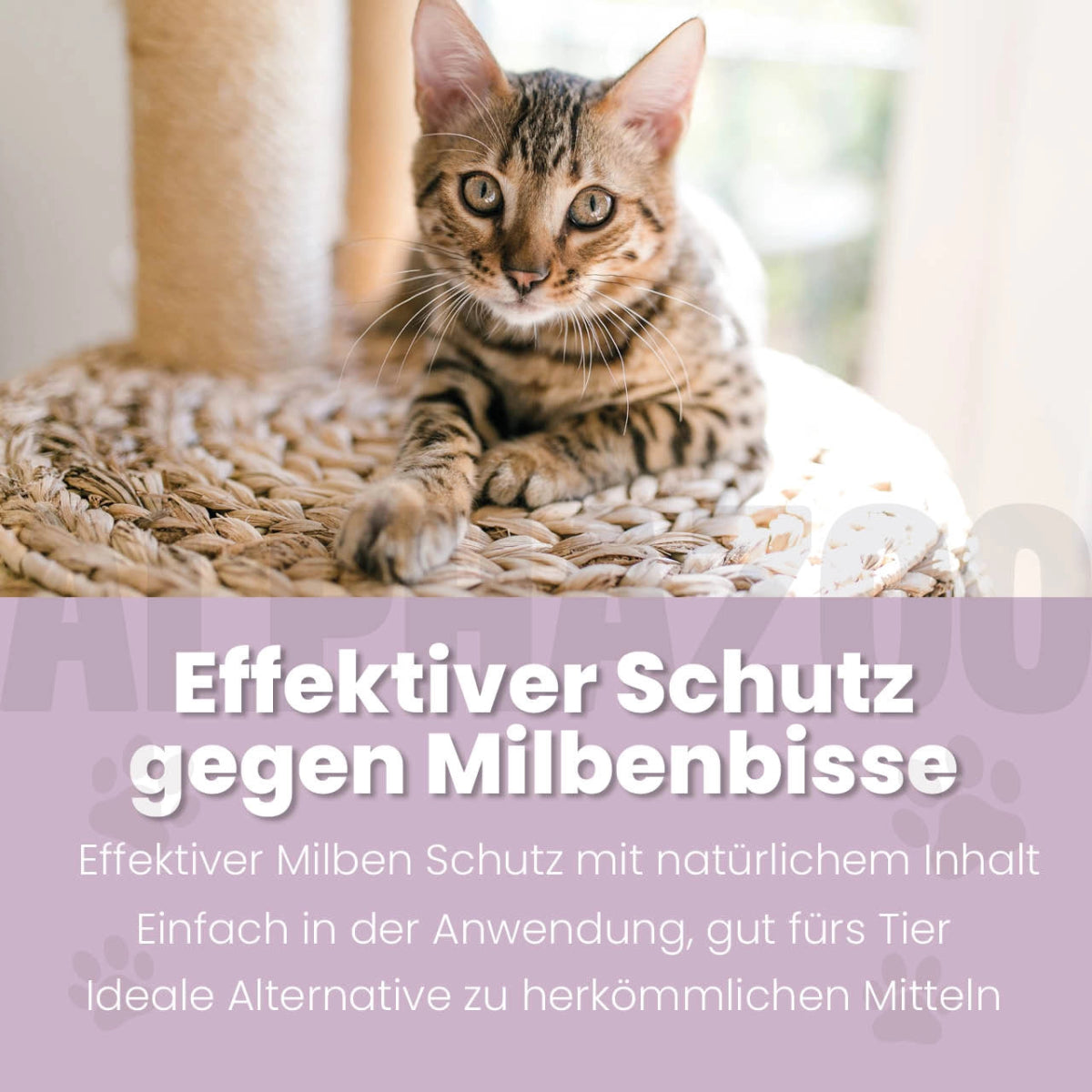MilbHunter Spot-On for Cats 100 ml