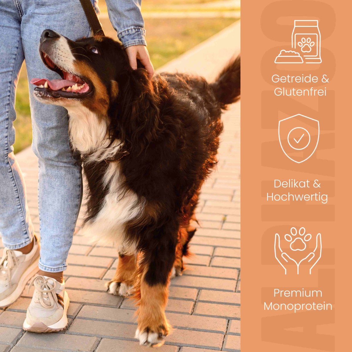 
                      Monoprotein chicken wet food for dogs
                      