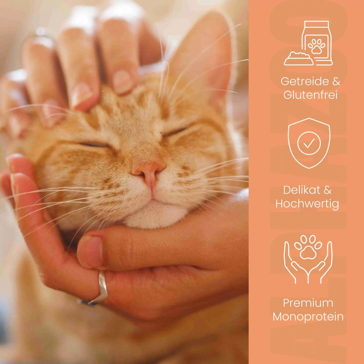 
                      Monoprotein Huhn Nassfutter für Katze alphazoo Monoprotein Huhn mit Lachsöl - Nassfutter für Katzen
                      