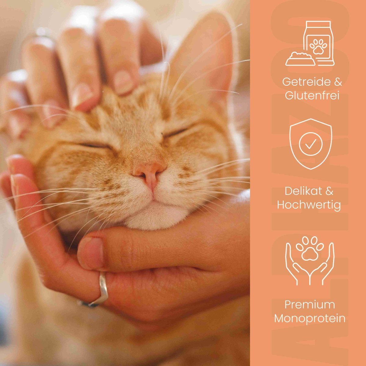 Monoprotein Huhn Nassfutter für Katze alphazoo Monoprotein Huhn mit Lachsöl - Nassfutter für Katzen