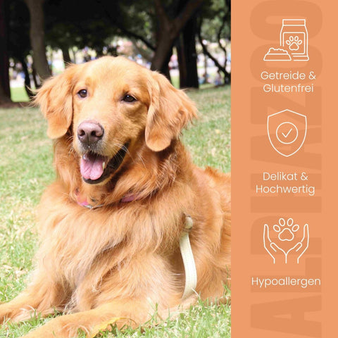 Monoprotein Pferd Nassfutter für Hunde