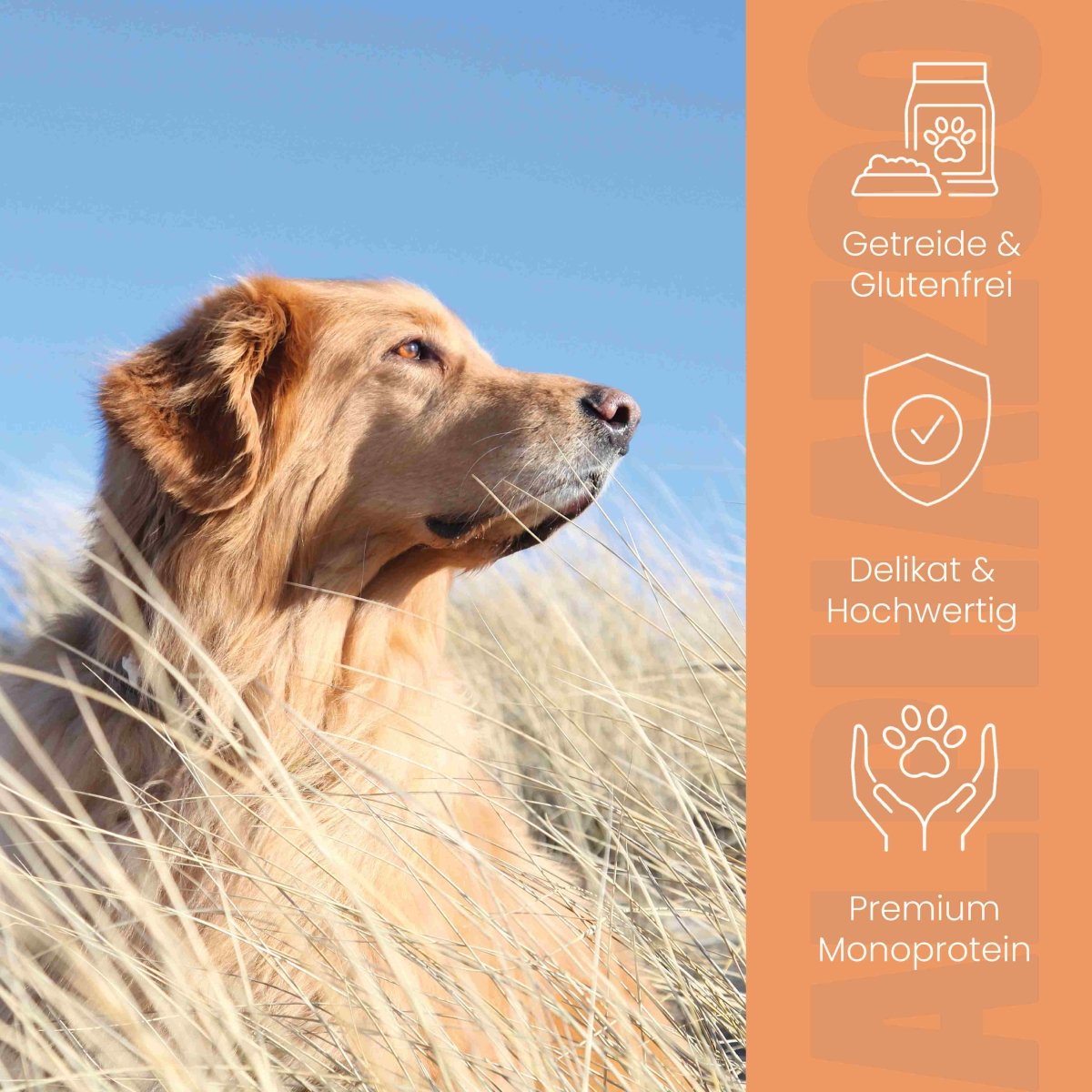 
                      Monoprotein beef wet food for dogs
                      