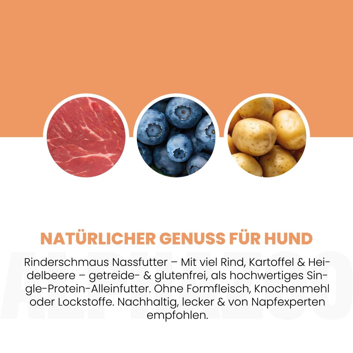 
                      Monoprotein beef wet food for dogs
                      