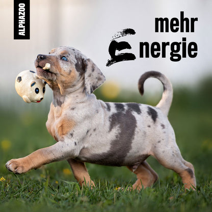 Muntermacher Bachblüten 15g für Hunde & Katzen I Spielfreude & Energie