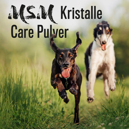 MSM Pulver für Hunde & Katzen I Organischer Schwefel für Agility