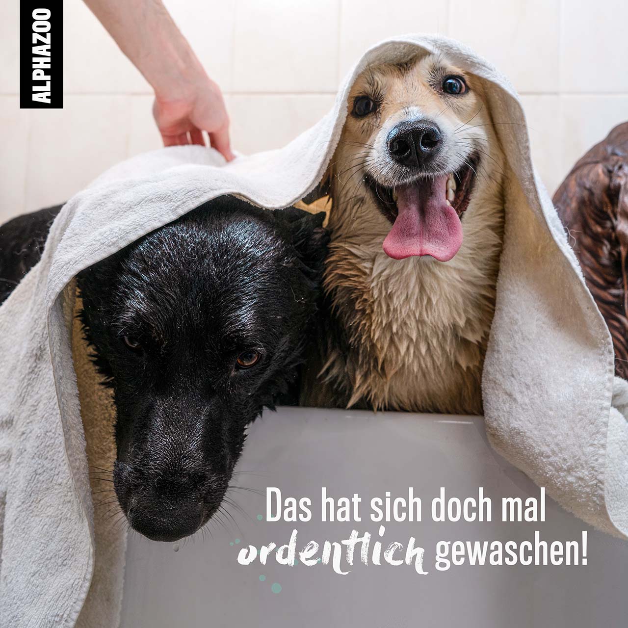 Bye-Bye-Vloh flea shampoo 200ml for dogs & cats I Gentle dog shampoo