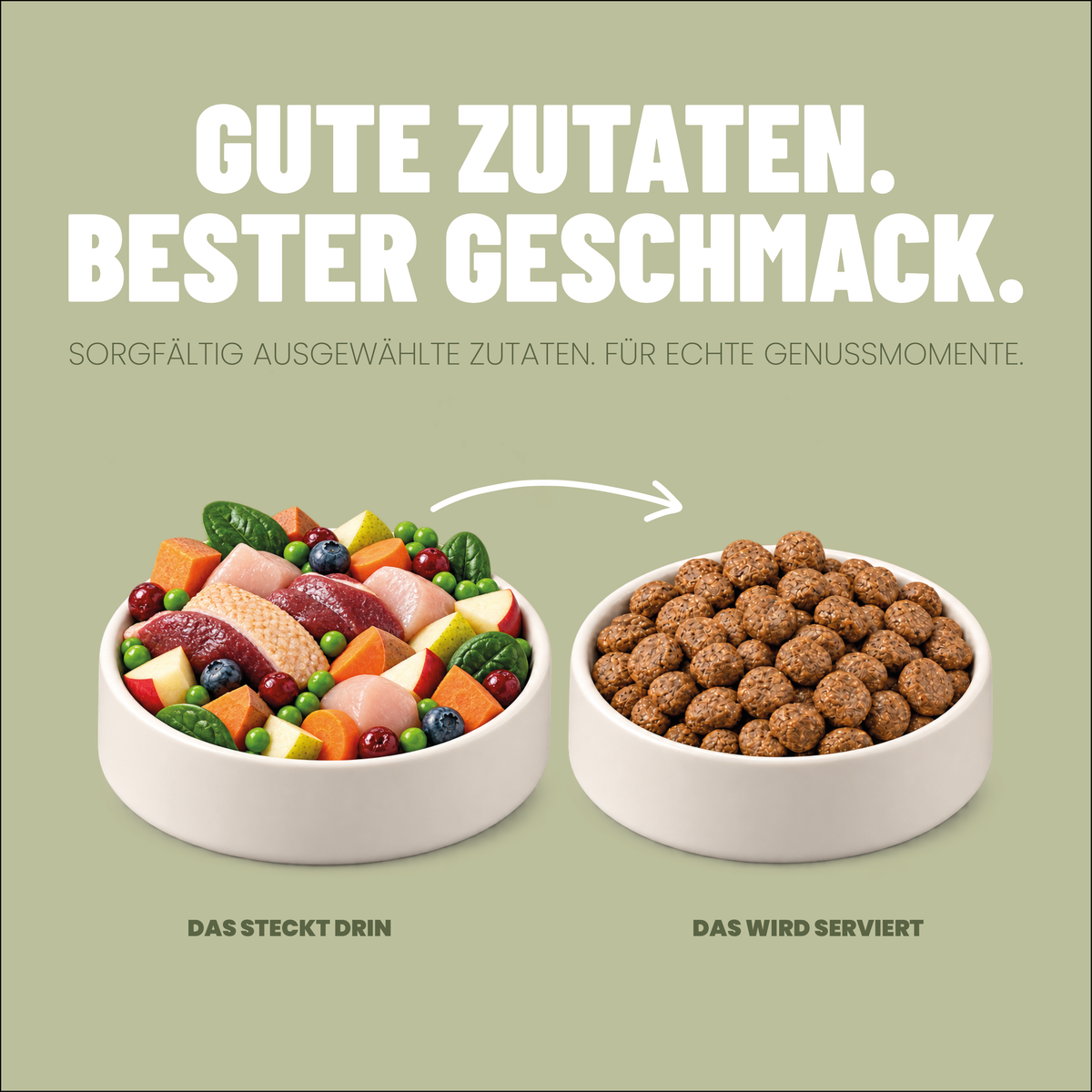 Adult Trockenfutter Ente / Geflügel