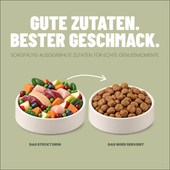 Adult Trockenfutter Ente / Geflügel