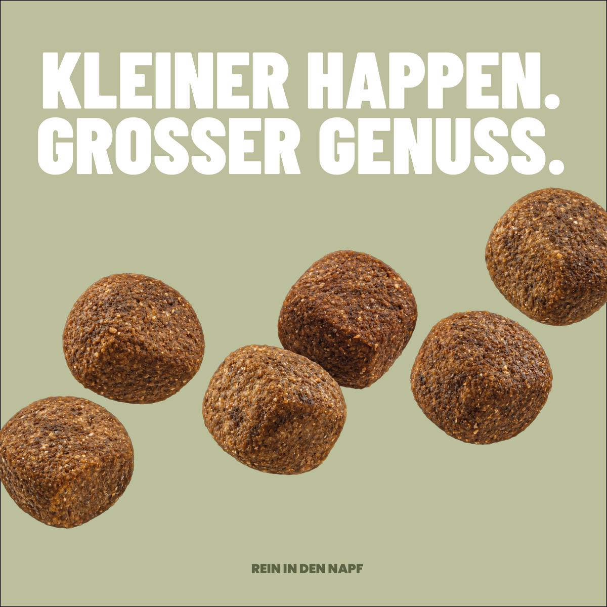Adult Trockenfutter Ente / Geflügel