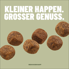 Adult Trockenfutter Ente / Geflügel