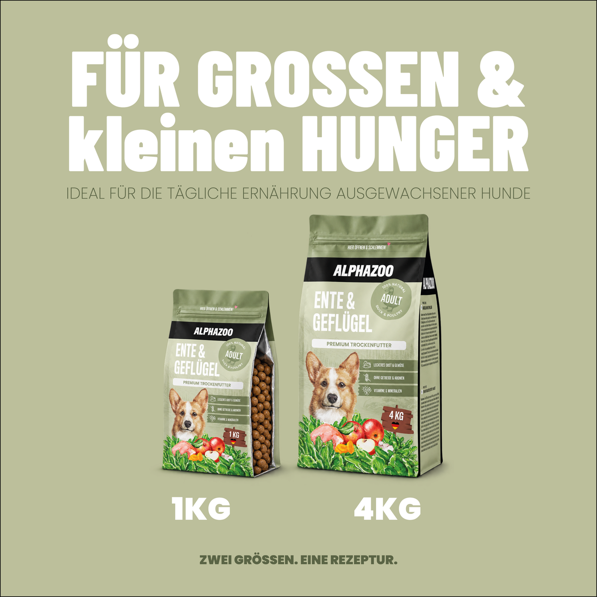 Adult Trockenfutter Ente / Geflügel