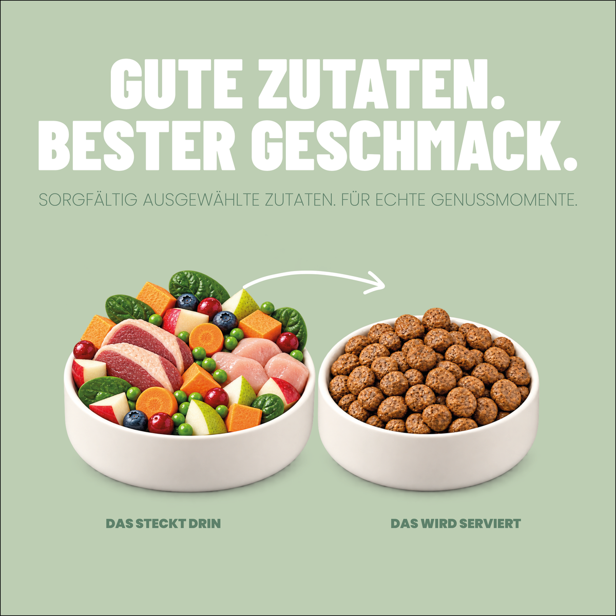 Welpen Trockenfutter Ente / Geflügel